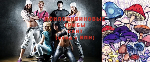 гидра Усинск