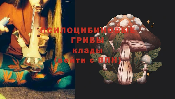 трава Крымск