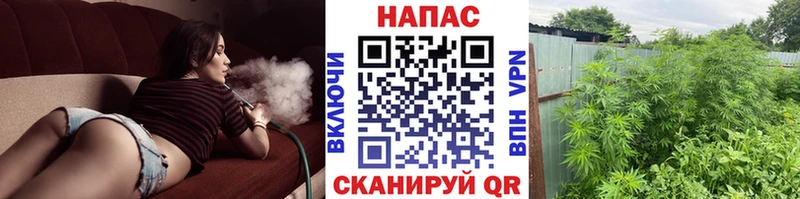 МЕГА ССЫЛКА  Цимлянск  Бошки марихуана THC 21% 